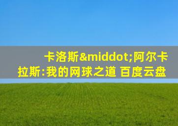 卡洛斯·阿尔卡拉斯:我的网球之道 百度云盘